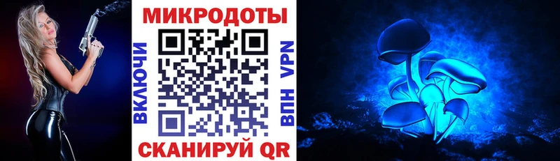 Псилоцибиновые грибы GOLDEN TEACHER  как найти наркотики  Петровск 